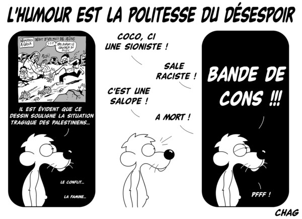 L'humour est la politesse du désespoir