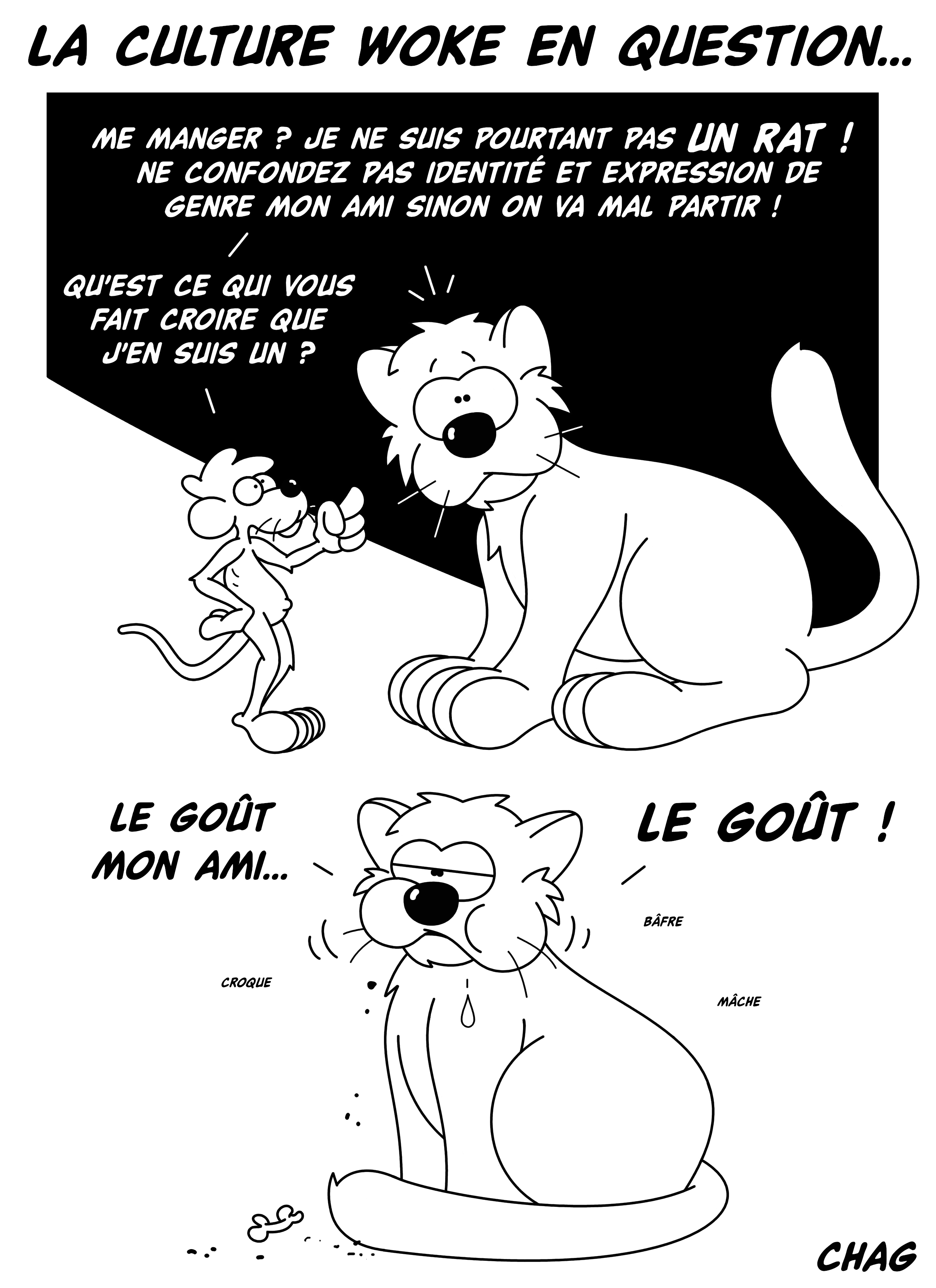 La Culture Woke En Question 